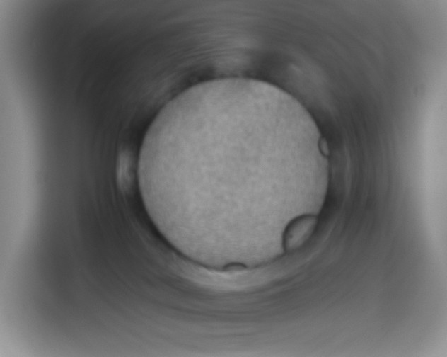 X0000113780038200910141047