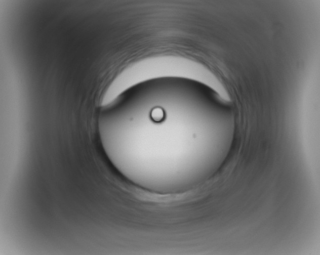 X0000113780039200910141047