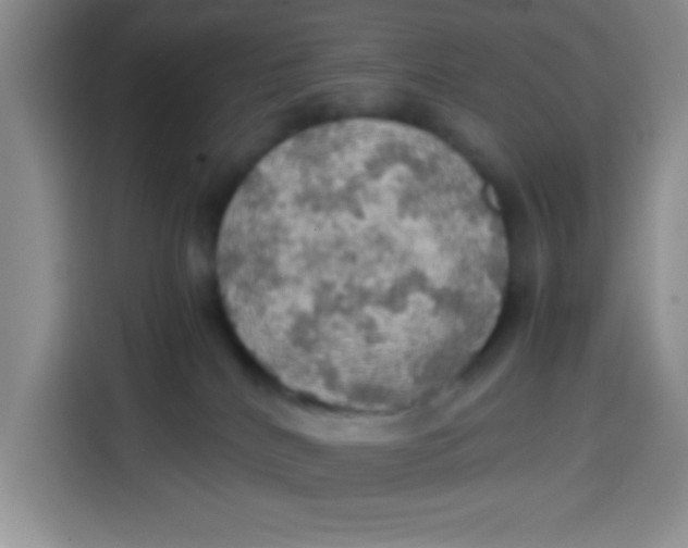 X0000113780040200910141047