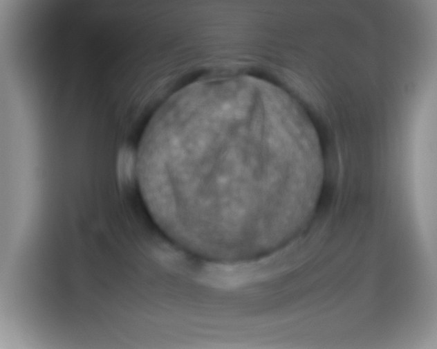 X0000113780041200910141047