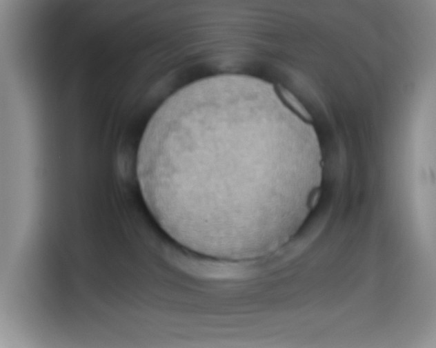 X0000113780044200910141047