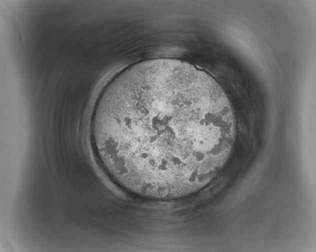 X0000113780049200910141046