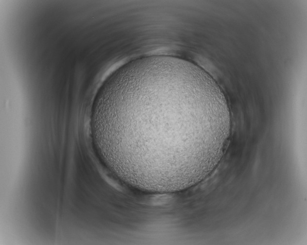 X0000113780050200910141046