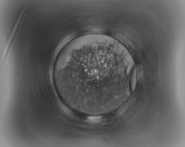 X0000113780051200910141046