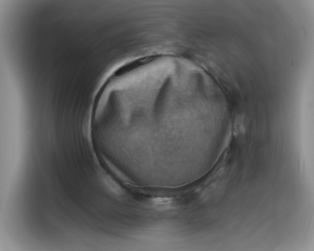 X0000113780052200910141046