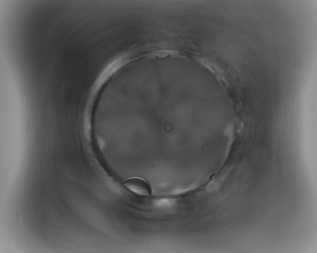 X0000113780053200910141046