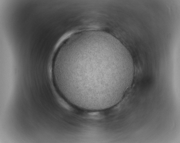 X0000113780054200910141046