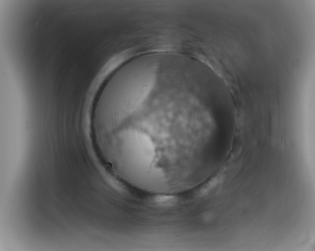 X0000113780055200910141046