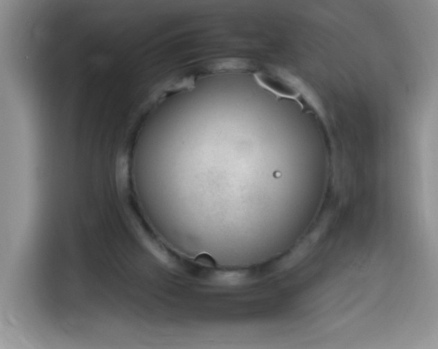 X0000113780057200910141046