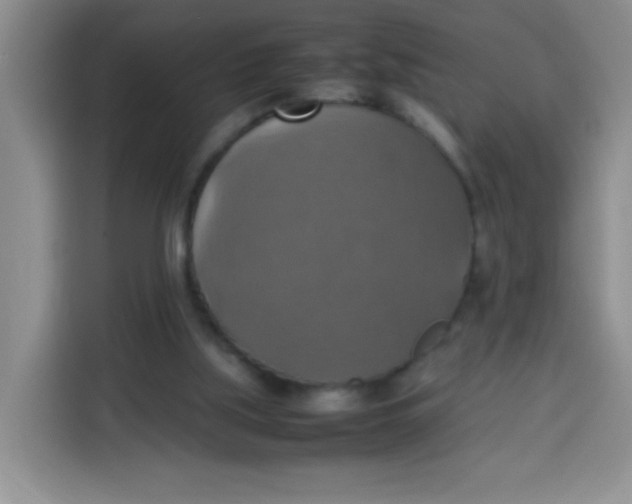 X0000113780059200910141046