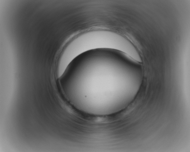 X0000113780060200910141046