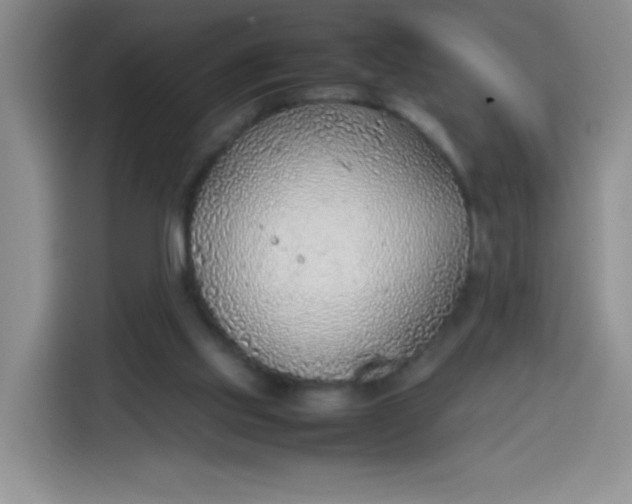 X0000113780061200910141047