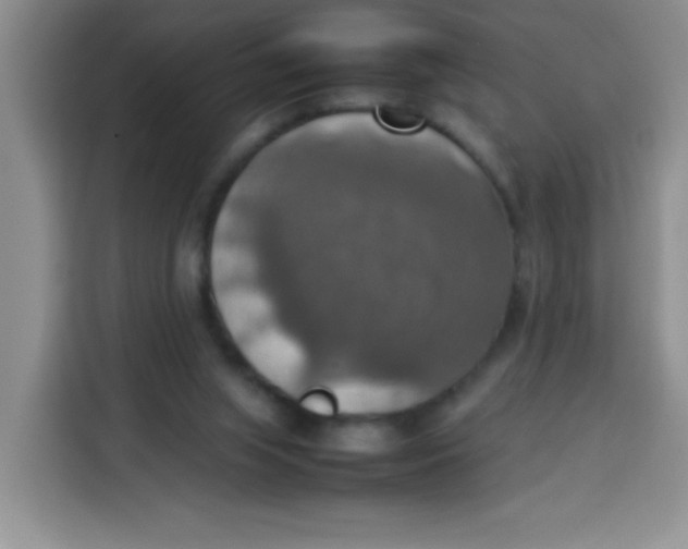 X0000113780063200910141047