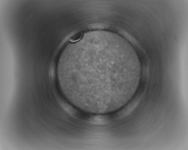 X0000113780064200910141047