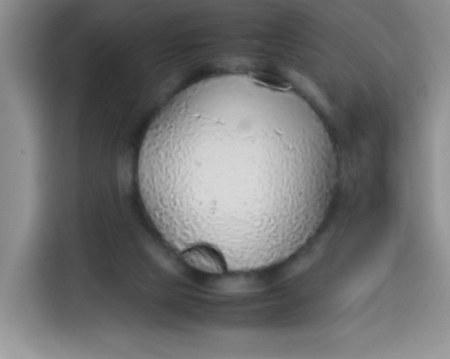 X0000113780065200910141047