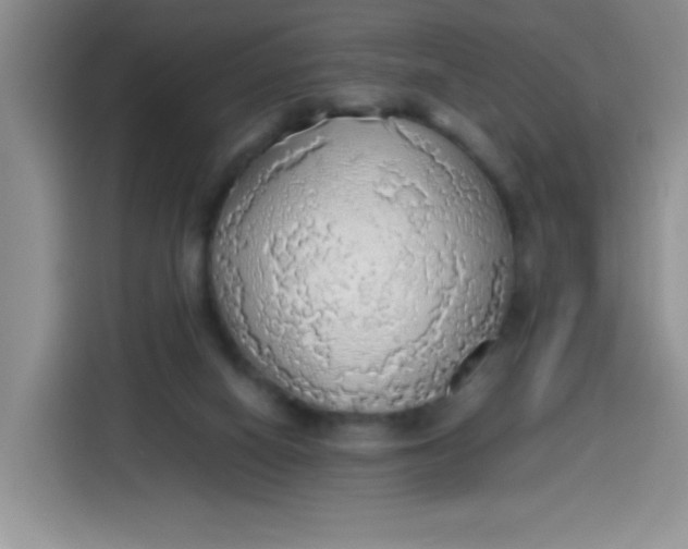 X0000113780066200910141047