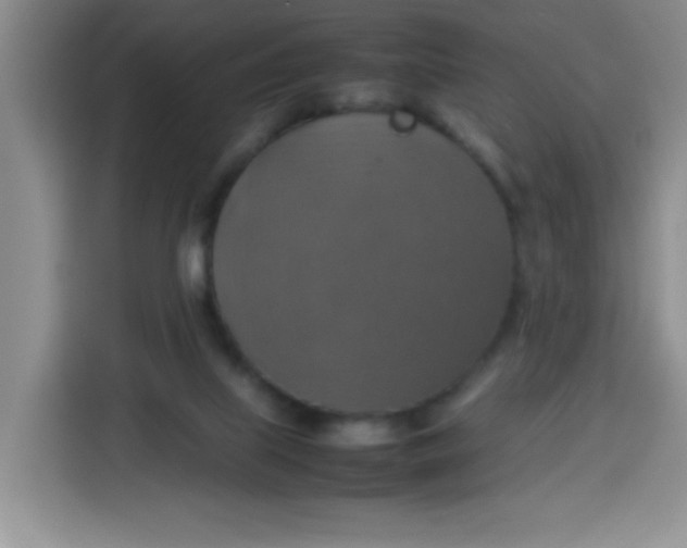 X0000113780067200910141047