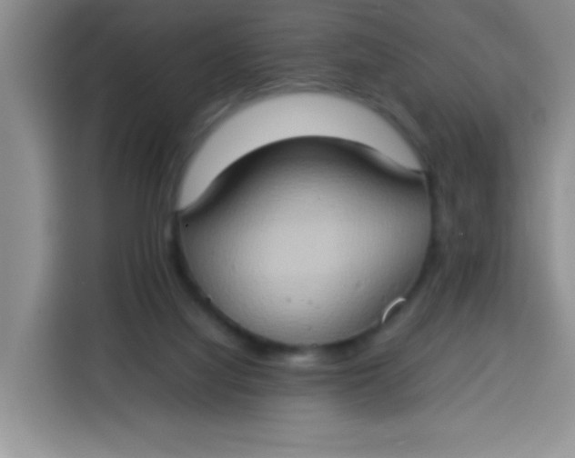 X0000113780068200910141047