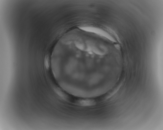 X0000113780069200910141047