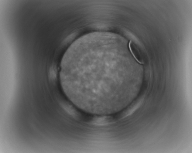 X0000113780072200910141047