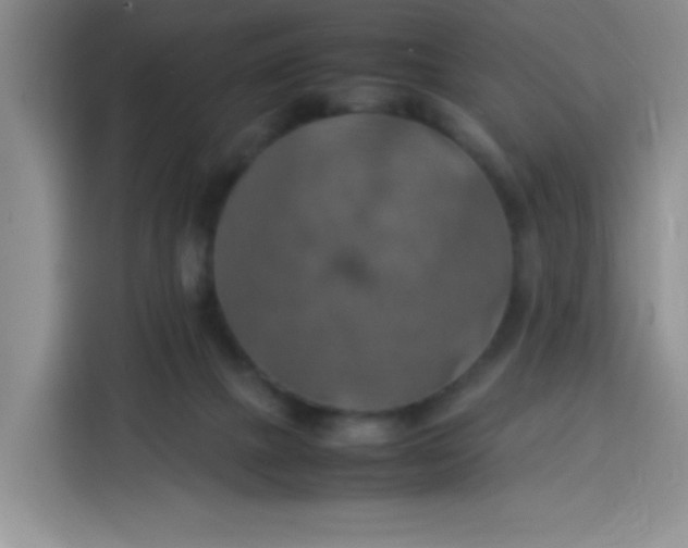 X0000113780073200910141047