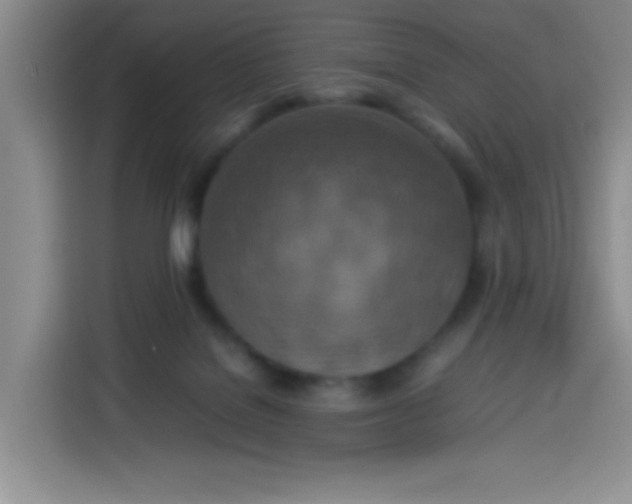 X0000113780076200910141047