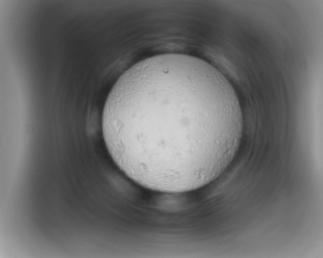 X0000113780077200910141047