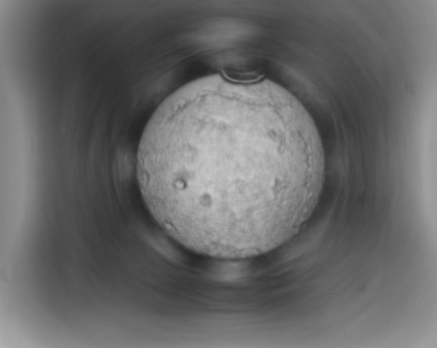 X0000113780081200910141047