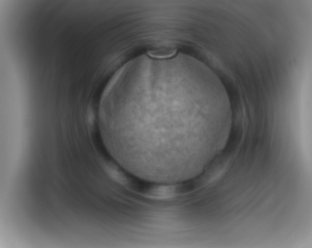 X0000113780084200910141047