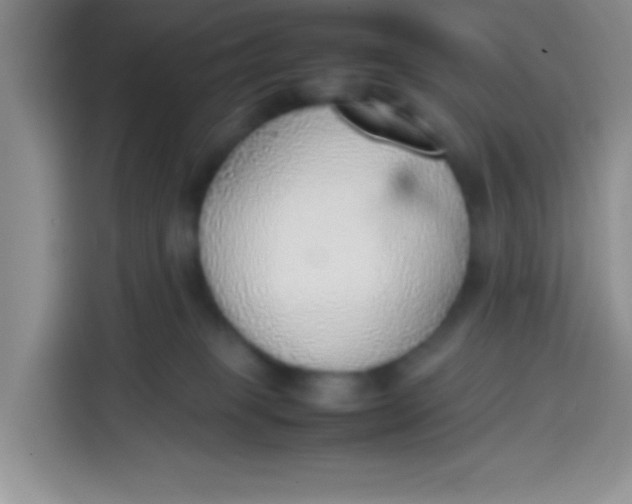 X0000113780085200910141047