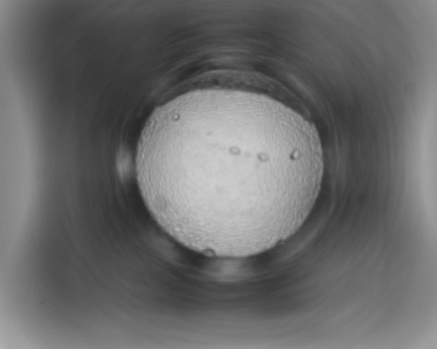 X0000113780089200910141047