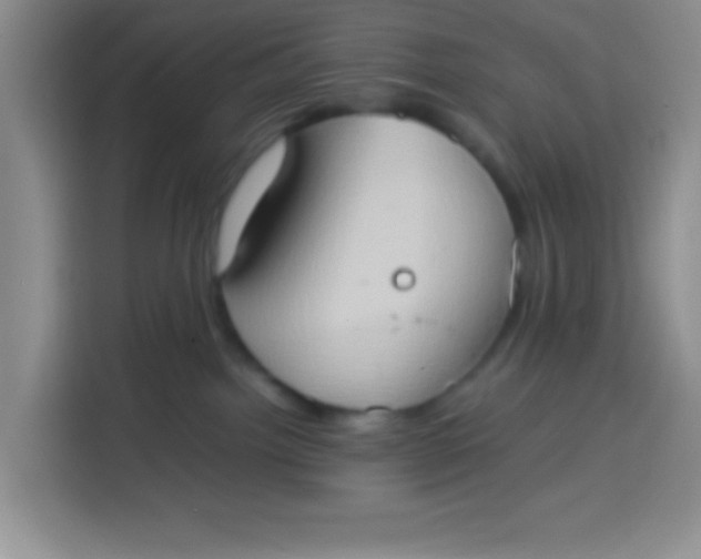 X0000113780092200910141047