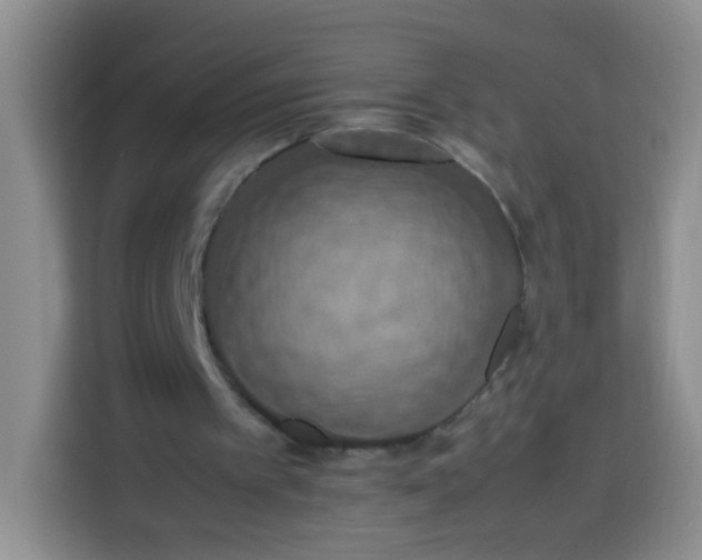 X0000113780097200910141046