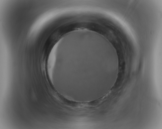 X0000113780099200910141046