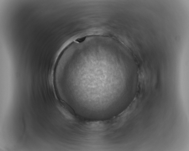 X0000113780100200910141046