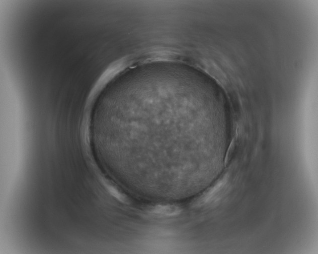 X0000113780101200910141046