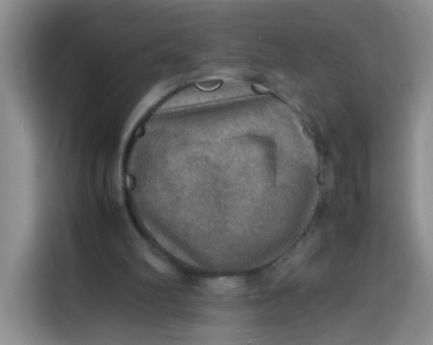 X0000113780102200910141046