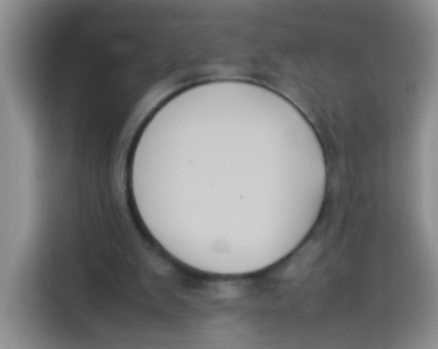 X0000113780103200910141046