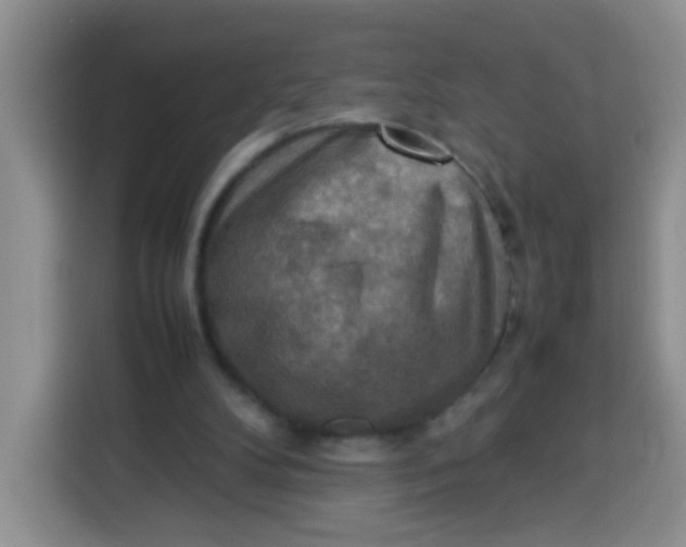 X0000113780104200910141046