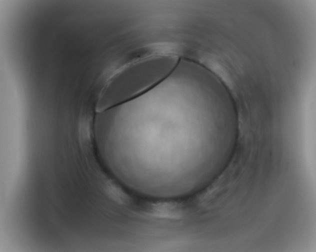 X0000113780105200910141046