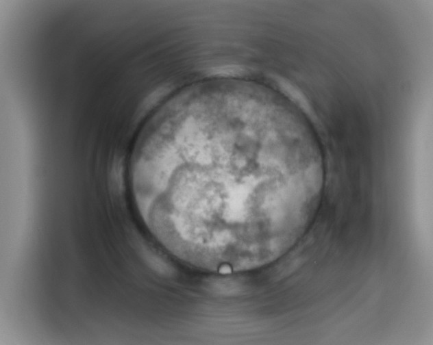 X0000113780106200910141046