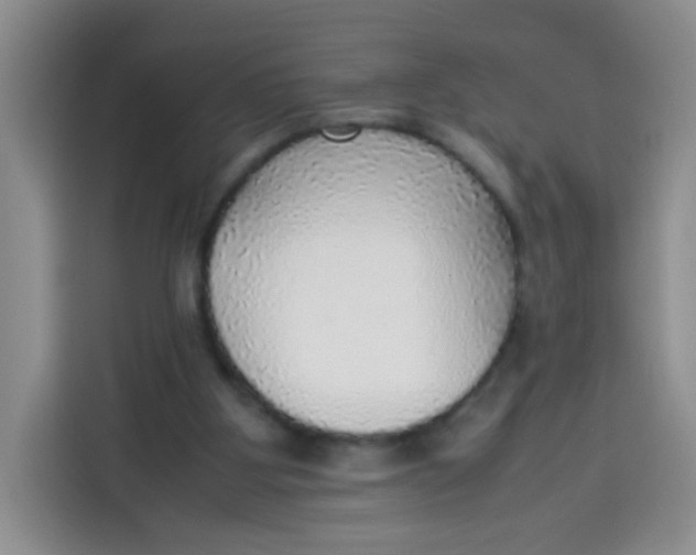 X0000113780107200910141046