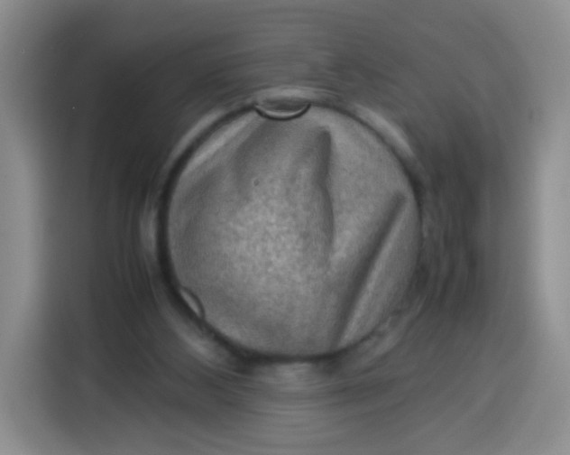 X0000113780108200910141046