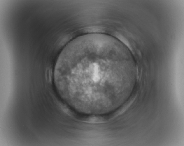 X0000113780109200910141046