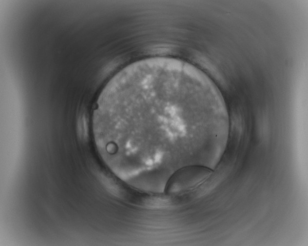 X0000113780110200910141046