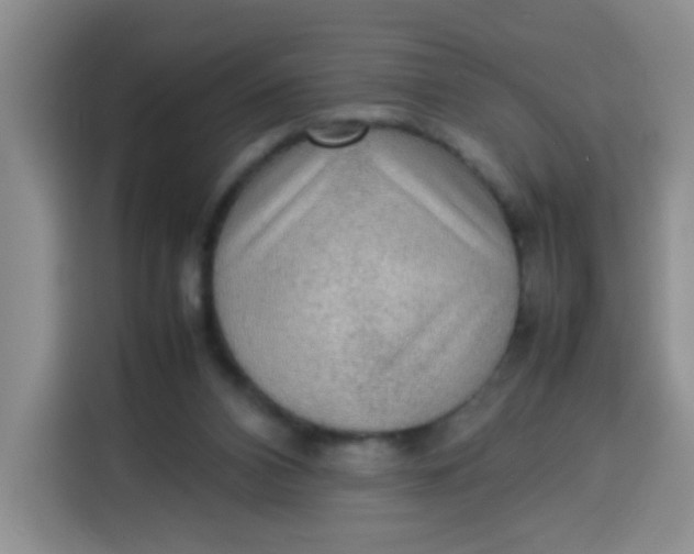 X0000113780112200910141046