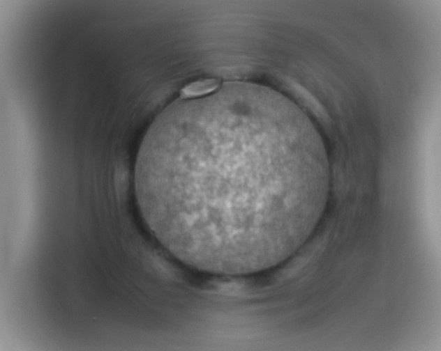 X0000113780113200910141046