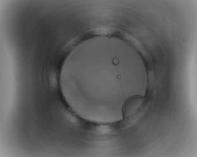 X0000113780114200910141046