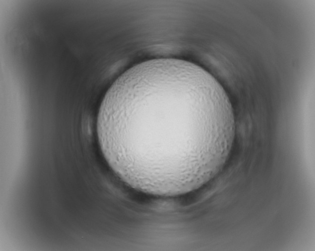 X0000113780115200910141046