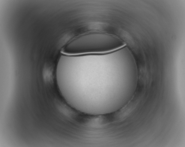 X0000113780116200910141046